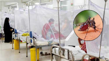 ডেঙ্গুতে একদিনে সর্বোচ্চ ১২ জনের মৃত্যু, আক্রান্ত ৭৪০