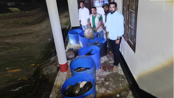 নোয়াখালীতে ৪২৫ কচ্ছপ উদ্ধার