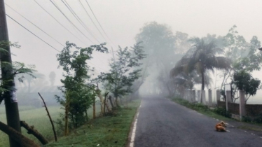 যশোরে চৈত্রের সকালে অস্বাভাবিক ঘন কুয়াশা