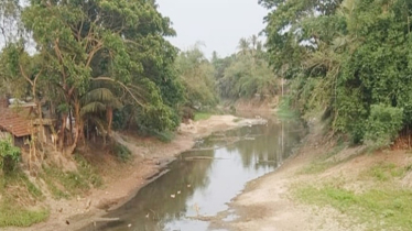 শার্শার চার দশক ধরে পানিবন্দি হাজারো একর জমি