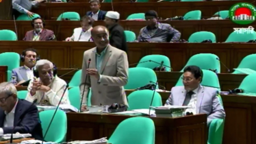 সংবিধান সংশোধনে বিশেষ কমিটি গঠনের প্রস্তাব সরকারি দলের