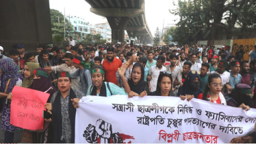 রাষ্ট্রপতিকে অপসারণে কারা বাধা দিয়েছিলো—এনসিপি নেতার বিস্ফোরক দাবি