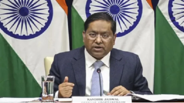 ‘সন্তান জন্ম দিতে যুক্তরাষ্ট্রে আসে’,—ট্রাম্পের বক্তব্য রুচিহীন: ভারত