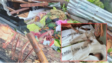 এক ঝড়ে নিভে গেলো তিন প্রাণ—জামালপুরে গাছচাপায় মা ও দুই মেয়ের মৃত্যু