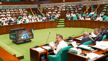 অন্তর্বর্তী সরকারের ২১ অধ্যাদেশ সংসদে পাস, বাতিল ৩টি অন্তর্বর্তী সরকারের ২১ অধ্যাদেশ সংসদে পাস, বাতিল ৩টি