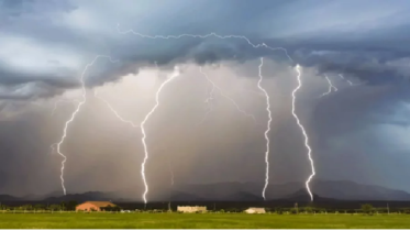 পটুয়াখালীতে বজ্রপাতে ৪ জনের মৃত্যু, মারা গেছে অর্ধশতাধিক গরু