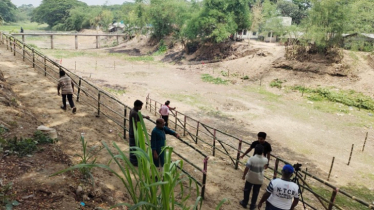 উলাশী ‘জিয়া খাল’ ঘিরে উৎসব—মানুষ অপেক্ষায় তারেক রহমানের