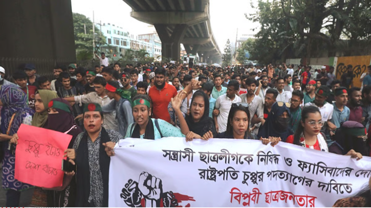 রাষ্ট্রপতিকে অপসারণে কারা বাধা দিয়েছিলো—এনসিপি নেতার বিস্ফোরক দাবি