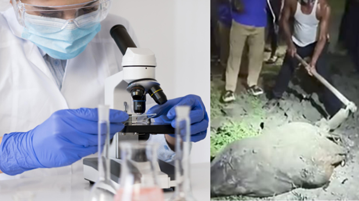 টাঙ্গাইলের নারীকে শ্বাসরোধে হত্যা, ধর্ষণের আলামত মেলেনি