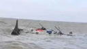 বঙ্গোপসাগরে ট্রলারডুবি: ৫ জেলের লাশ উদ্ধার বঙ্গোপসাগরে ট্রলারডুবি: ৫ জেলের লাশ উদ্ধার