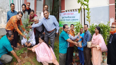 মিরপুর বাংলা স্কুলে অঙ্গীকার ফাউন্ডেশনের বৃক্ষরোপণ ও চারা বিতরণ মিরপুর বাংলা স্কুলে অঙ্গীকার ফাউন্ডেশনের বৃক্ষরোপণ ও চারা বিতরণ