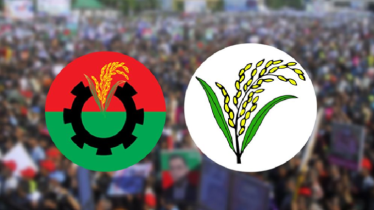 যেসব আসনের ব্যালটে নেই ধানের শীষ