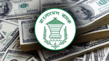 নিলামে ১৭১ মিলিয়ন ডলার ক্রয় করল বাংলাদেশ ব্যাংক