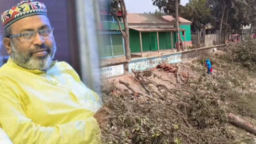 গাছ কাটা বিএনপি নেতা জাহাঙ্গীর গ্রেফতার