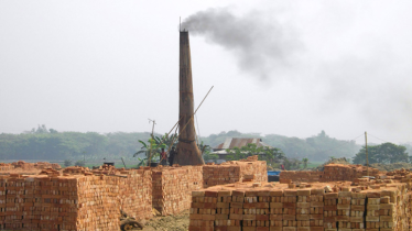 হাইকোর্টের নির্দেশেও থামেনি যশোরের শার্শার ২০ অবৈধ ইটভাটা