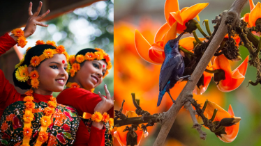 পহেলা ফাল্গুন আজ— ভালোবাসায় রাঙবে প্রাণ-প্রকৃতি