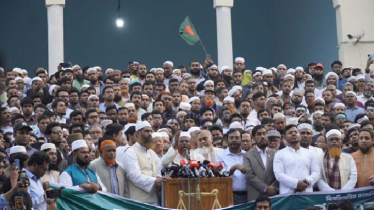 সূক্ষ্ম ইঞ্জিনিয়ারিংয়ে সাজানো ফল: মামুনুল হক