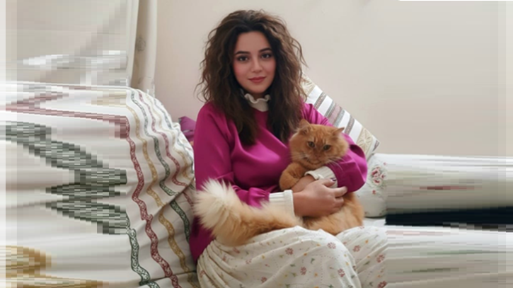 মানুষকেন্দ্রিকতার পুনর্বিবেচনা: প্রাণীদের ইন্টেগ্রিটি ও ইনটুইশন