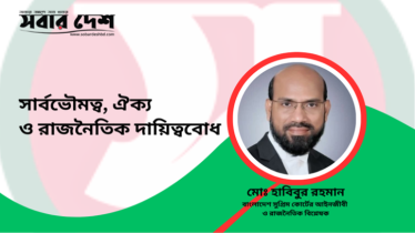 সার্বভৌমত্ব, ঐক্য ও রাজনৈতিক দায়িত্ববোধ