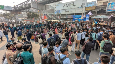 ঢাকার তিন পয়েন্টে ফের অবরোধে সাত কলেজের শিক্ষার্থীরা ঢাকার তিন পয়েন্টে ফের অবরোধে সাত কলেজের শিক্ষার্থীরা