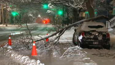 ঝড়ের তাণ্ডবে কানাডায়: বিদ্যুৎহীন লাখো মানুষ, স্কুল-কলেজ বন্ধ