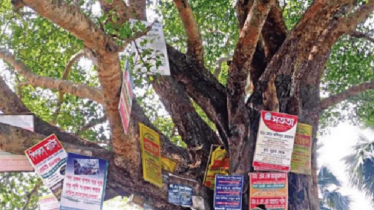 গাছে পেরেক লাগালে ২০ হাজার টাকা জরিমানা