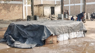 মিথ্যা ঘোষণায় আমদানি করা ভারতীয় ইলিশের চালান আটক