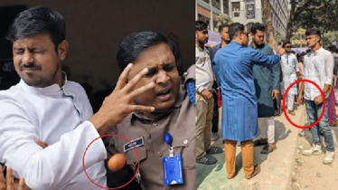 নাসীরুদ্দীন পাটওয়ারীর ওপর ডিম নিক্ষেপে বিএনপির বিরুদ্ধে অভিযোগ