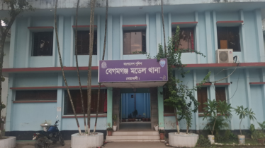আলমারিতে বিষাক্ত সাপ: কামড়ে প্রাণ গেলো গৃহবধূর