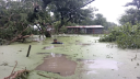বন্যার ভয়াবহতা বাড়ছে, এইচএসসি পরীক্ষা স্থগিত বন্যার ভয়াবহতা বাড়ছে, এইচএসসি পরীক্ষা স্থগিত