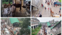 মেট্রোরেলের নিচে পশুর হাট, ক্ষতি ৩০ লাখ টাকা মেট্রোরেলের নিচে পশুর হাট, ক্ষতি ৩০ লাখ টাকা