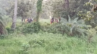 এক দিনে সীমান্তে ১২৯ জনকে পুশইনের চেষ্টা, প্রতিরোধ করেছে বিজিবি