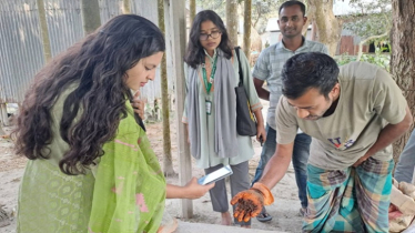 গাইবান্ধায় সবুজ অর্থনীতির মডেল গড়ছে তরুণরা