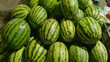 বেনাপোলে মৌসুমের আগেই তরমুজ ৯০ টাকা