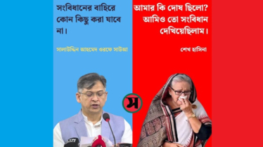 সংবিধানের সং (Song)