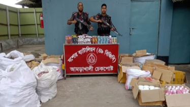 ২৯ লাখ টাকার ভারতীয় পণ্য আটক বিজিবির