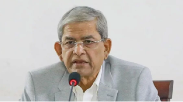 এরা হঠাৎ সক্রিয় হলেও গুরুত্ব দেয়ার প্রয়োজন নেই: মির্জা ফখরুল