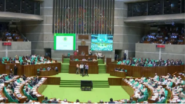 গণভোট অধ্যাদেশ বাতিলের পথে, আসছে না সংসদে