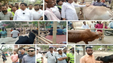 ১৭ বছর পর ফের সচল হচ্ছে ঐতিহ্যবাহী শার্শা নাভারণ পশুর হাট