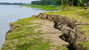 বরগুনার বন্যা নিয়ন্ত্রণ বাঁধে ফাটল, ঝুঁকিতে ২৫ হাজার মানুষ বরগুনার বন্যা নিয়ন্ত্রণ বাঁধে ফাটল, ঝুঁকিতে ২৫ হাজার মানুষ