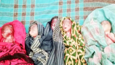 শার্শায় একসঙ্গে পাঁচ সন্তানের জন্ম, বাঁচানো গেলো না কাউকেই শার্শায় একসঙ্গে পাঁচ সন্তানের জন্ম, বাঁচানো গেলো না কাউকেই