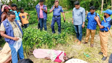 আমতলীতে ধানক্ষেতে মিললো অজ্ঞাত নারীর লাশ