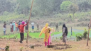 ২ বাংলাদেশিকে গুলি করে হত্যার কারণ জানালো বিএসএফ 