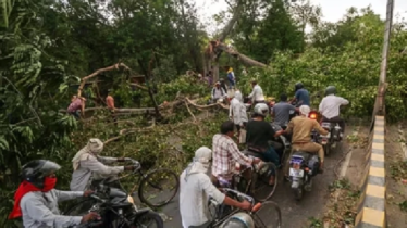 ভারতে ঝড়-বৃষ্টির তাণ্ডবে নিহত ৫৬, ব্যাপক ক্ষয়ক্ষতি