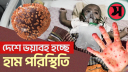 হামে ভয়াবহ পরিস্থিতি, একদিনে সর্বোচ্চ ১৭ শিশুর মৃত্যু