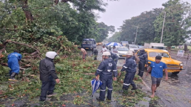 কালবৈশাখীর তাণ্ডবে লণ্ডভণ্ড পশ্চিমবঙ্গ, নিহত ৮ কালবৈশাখীর তাণ্ডবে লণ্ডভণ্ড পশ্চিমবঙ্গ, নিহত ৮