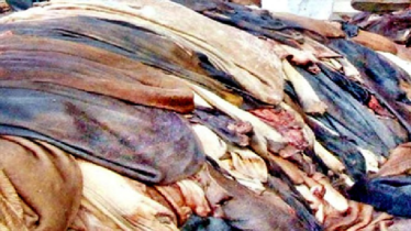 ৪০০ টাকায় কেনা চামড়া বিক্রি ১৫০ টাকায় ৪০০ টাকায় কেনা চামড়া বিক্রি ১৫০ টাকায়