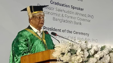 রাজনৈতিক ম্যান্ডেট না থাকায় অনেক কাজ করা যায়নি: সালেহউদ্দিন আহমেদ