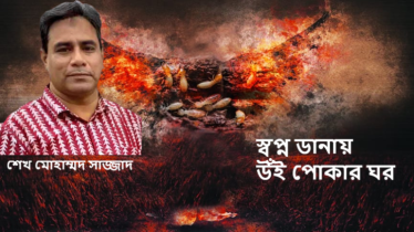 স্বপ্ন ডানায় উঁই পোকার ঘর 