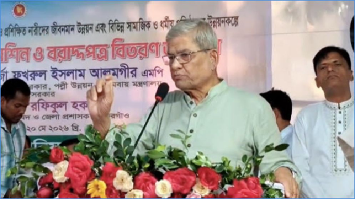 আমরা উড়ে এসে জুড়ে বসিনি: মির্জা ফখরুল